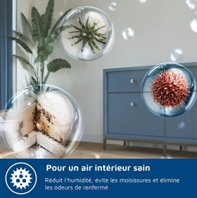 Déshumidificateur Philips 2-en-1 Purificateur d'air HEPA Serie 5000 DE5305/11 Blanc