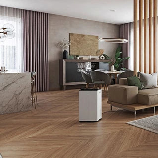 Déshumidificateur Stadlerform Déshumidificateur purificateur connecté LUKAS Pro 50L/J