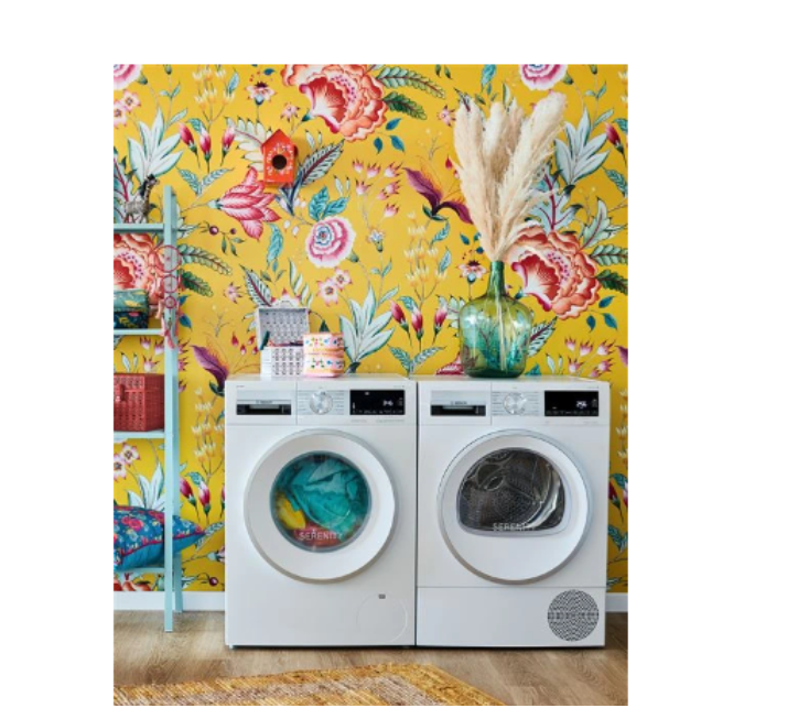 Sèche-linge pompe à chaleur Bosch WQG245DSFR
