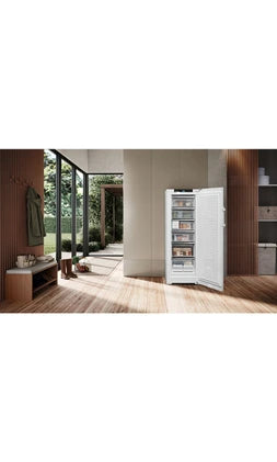 Congélateur armoire Liebherr FNb 505i Blanc